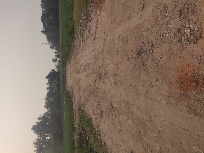  Residential Plot 720 Sq.ft. for Sale in Khariberia, Kolkata