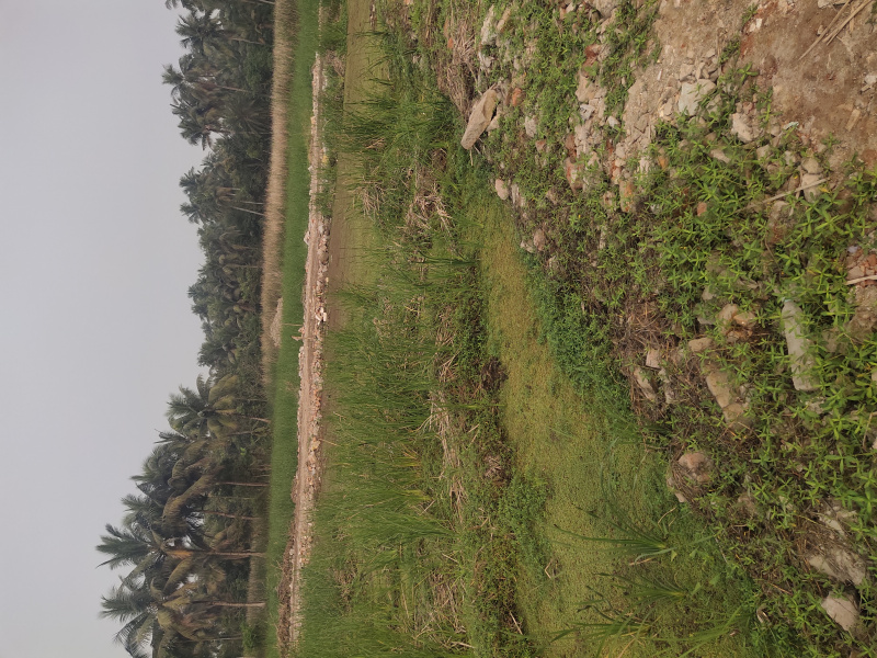  Residential Plot 720 Sq.ft. for Sale in Khariberia, Kolkata