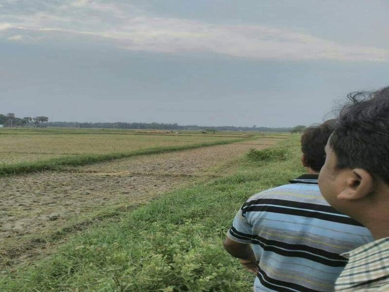  3600 Sq.ft. Residential Plot for Sale in Diamond Harbour Road, Kolkata