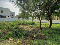  Residential Plot for Sale in Suleeswaranpatti, Coimbatore