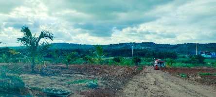  Agricultural Land for Sale in Bangalore Road, Hosur