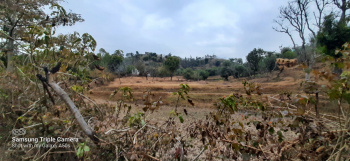  Agricultural Land for Sale in Morni Hills, Panchkula
