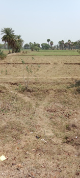  Commercial Land for Sale in Sabour Road, Bhagalpur