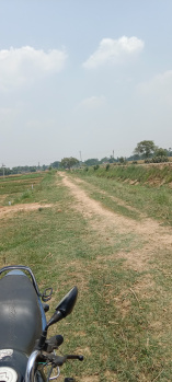  Agricultural Land for Sale in Goradih, Bhagalpur
