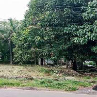 Commercial Land for Sale in Punkunnam, Thrissur