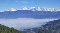  Agricultural Land for Sale in Kausani, Bageshwar