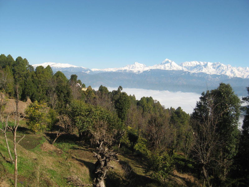  Agricultural Land 216000 Sq.ft. for Sale in Kausani, Bageshwar
