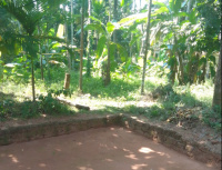  Residential Plot for Sale in Calicut, Kozhikode
