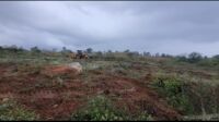  Industrial Land for Sale in Nagavalli, Tumkur