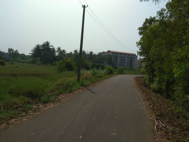  176 Cent Residential Plot for Sale in Chilimbi, Mangalore