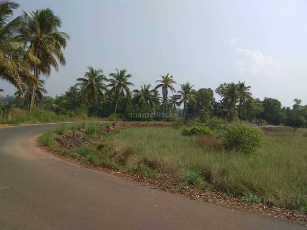  176 Cent Residential Plot for Sale in Chilimbi, Mangalore