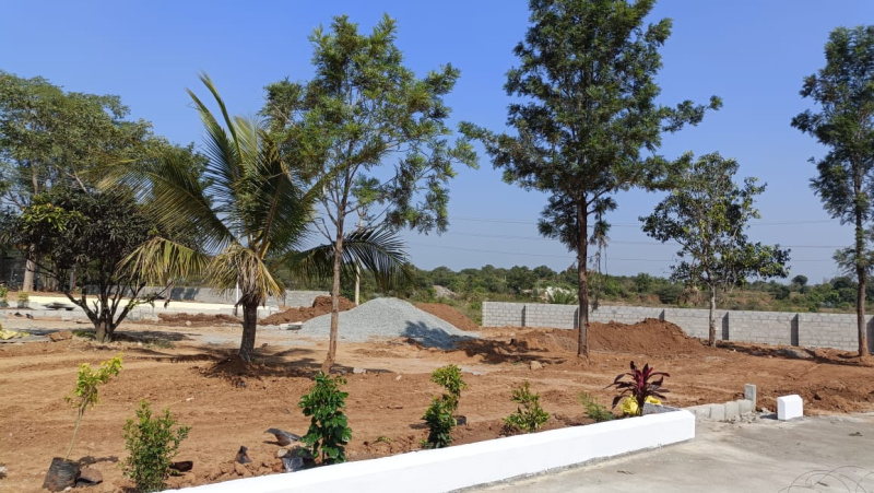  1200 Sq.ft. Residential Plot for Sale in Shoolagiri, Hosur
