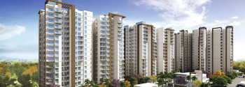 3 BHK Flat for Sale in Sector 70 Faridabad