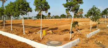  Residential Plot for Sale in Chotuppal, Hyderabad