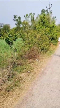  Agricultural Land for Sale in Sidhauli, Sitapur
