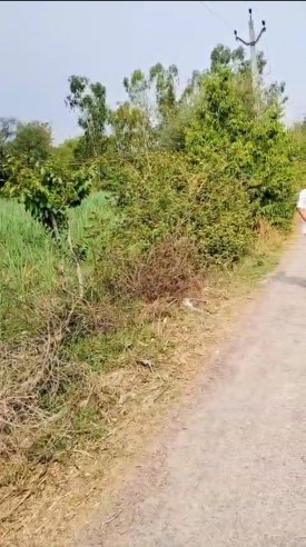  30 Bigha Agricultural/Farm Land for Sale in Sidhauli, Sitapur