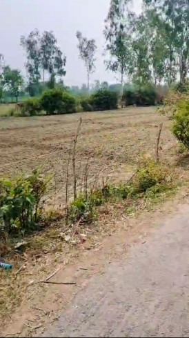  30 Bigha Agricultural/Farm Land for Sale in Sidhauli, Sitapur