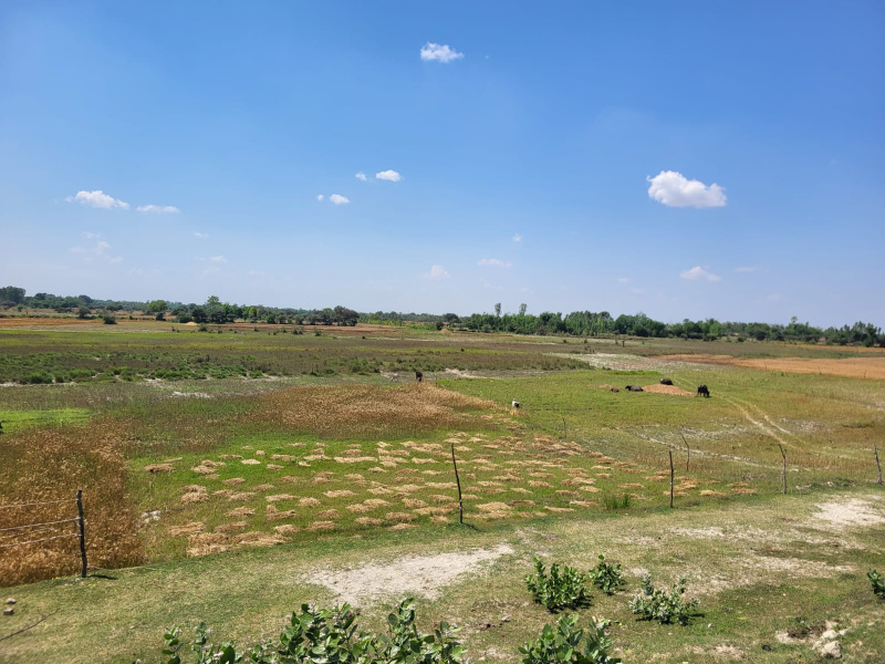  5 Bigha Agricultural/Farm Land for Sale in Malihabad, Lucknow