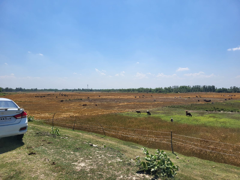  5 Bigha Agricultural/Farm Land for Sale in Malihabad, Lucknow