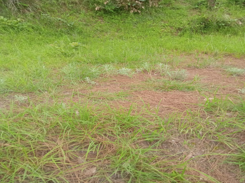  1 Bigha Commercial Land for Sale in Kumhrava, Lucknow