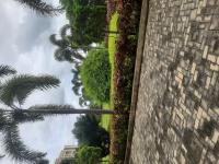  Residential Plot for Sale in Amleshwar, Raipur