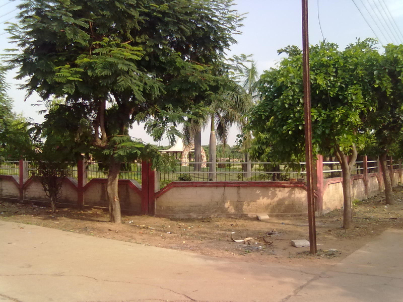 3 BHK House 1500 Sq.ft. for Rent in Saddu, Raipur