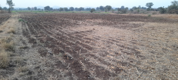  Agricultural Land for Sale in Shirpur Warwade, Dhule