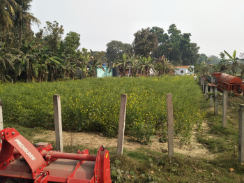  Residential Plot for Sale in Ranaghat, Nadia