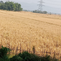  Industrial Land for Sale in Mirza, Kamrup