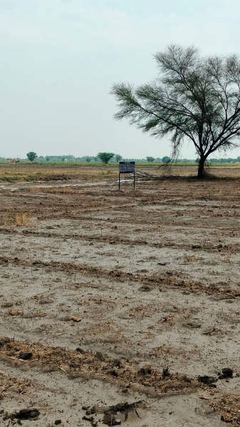  4509 Sq.ft. Residential Plot for Sale in Sanand, Ahmedabad