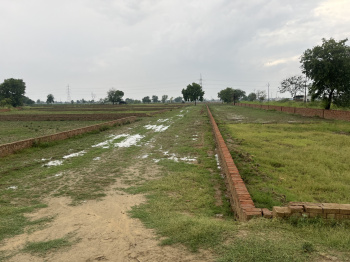  Agricultural Land for Sale in Gautam Budh Nagar, Greater Noida