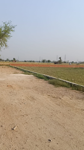 Residential Plot 100 Sq. Yards for Sale in Jhajhar, Gautam Buddha Nagar