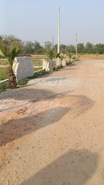  Residential Plot 100 Sq. Yards for Sale in Jhajhar, Gautam Buddha Nagar