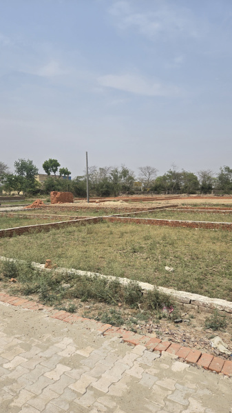  Residential Plot 150 Sq. Yards for Sale in Jhajhar, Gautam Buddha Nagar
