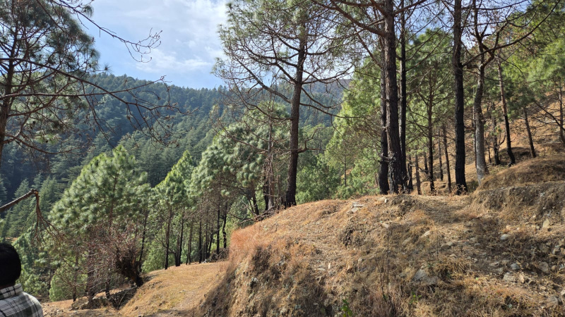  Residential Plot 300 Sq. Yards for Sale in Dhanaulti, Tehri Garhwal
