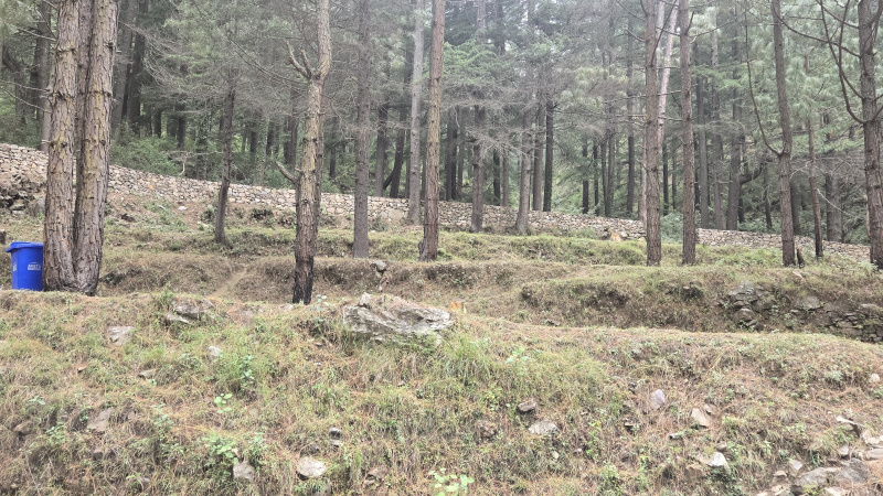  Residential Plot 100 Sq. Yards for Sale in Dhanaulti, Tehri Garhwal