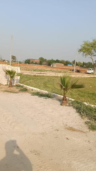 Residential Plot 200 Sq. Yards for Sale in Jhajhar, Gautam Buddha Nagar