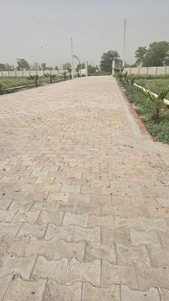  Residential Plot 200 Sq. Yards for Sale in Jhajhar, Gautam Buddha Nagar