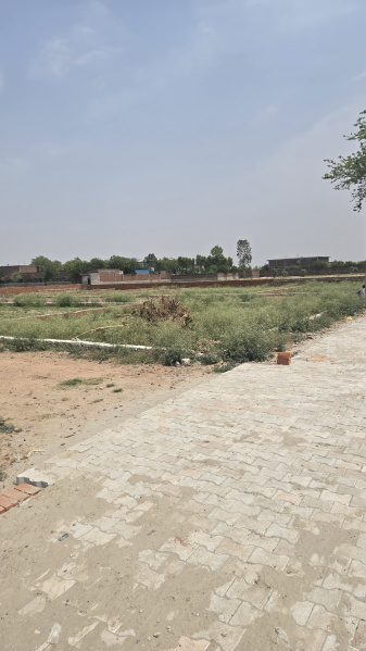  Residential Plot 300 Sq. Yards for Sale in Jhajhar, Gautam Buddha Nagar