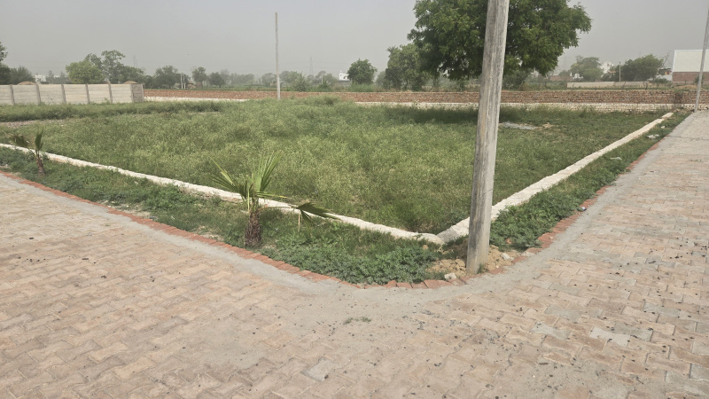  Residential Plot 300 Sq. Yards for Sale in Jhajhar, Gautam Buddha Nagar
