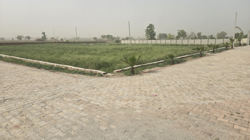  Residential Plot 300 Sq. Yards for Sale in Jhajhar, Gautam Buddha Nagar