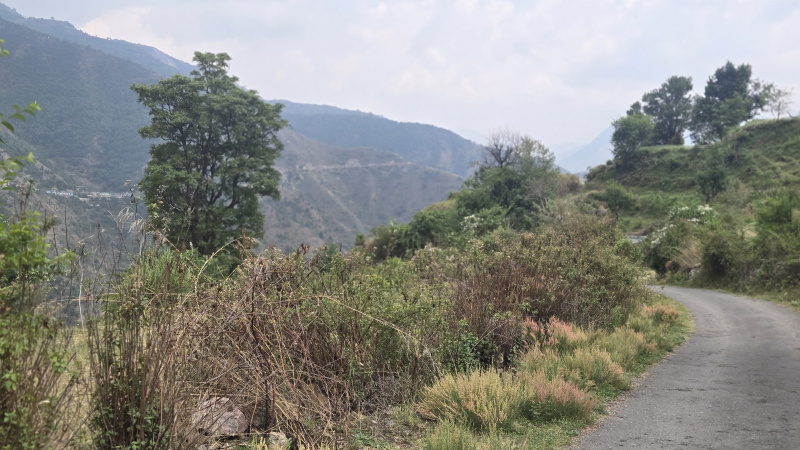  Residential Plot 300 Sq. Yards for Sale in Dhanaulti, Tehri Garhwal