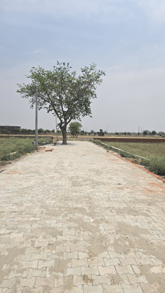  Residential Plot 100 Sq. Yards for Sale in Jhajhar, Gautam Buddha Nagar