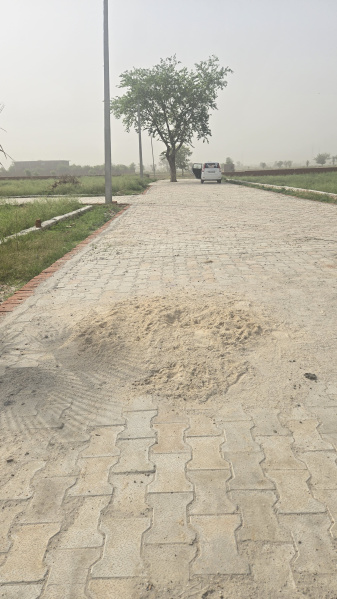  Residential Plot 150 Sq. Yards for Sale in Jhajhar, Gautam Buddha Nagar