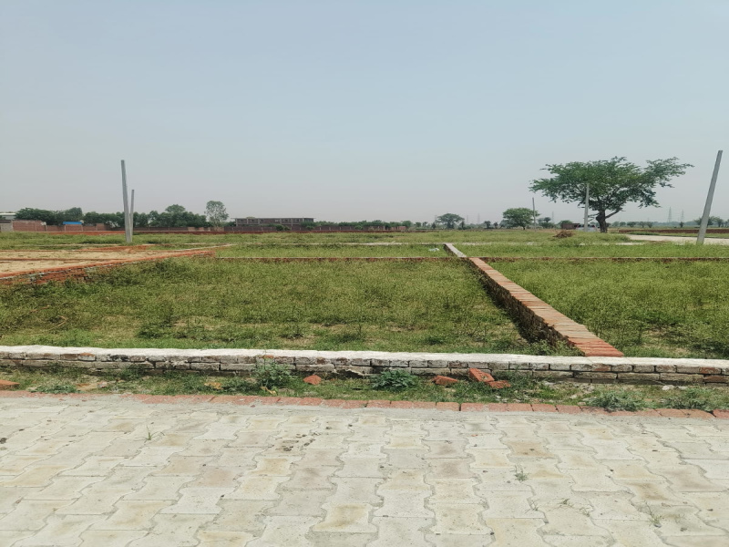  Residential Plot 150 Sq. Yards for Sale in Jhajhar, Gautam Buddha Nagar
