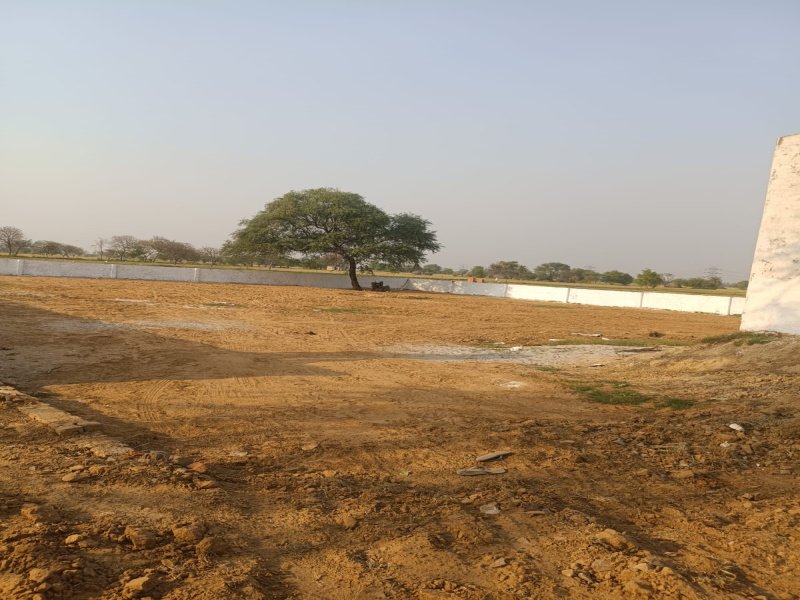  Residential Plot 250 Sq.ft. for Sale in Jhajhar, Gautam Buddha Nagar