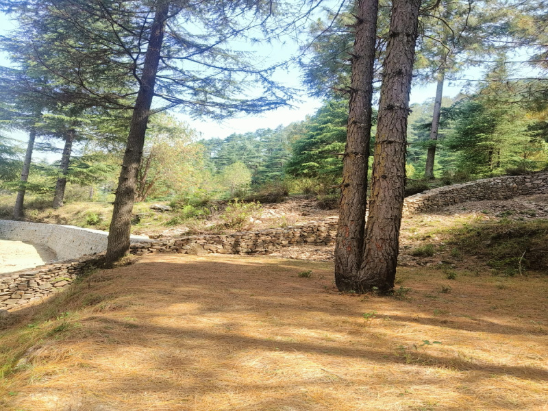  Residential Plot 188 Sq. Yards for Sale in Dhanaulti, Tehri Garhwal