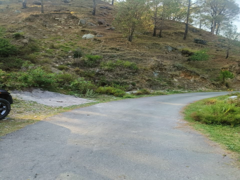  Residential Plot 264 Sq. Yards for Sale in Dhanaulti, Tehri Garhwal