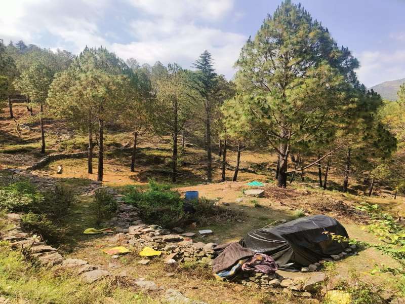  Residential Plot 197 Sq. Yards for Sale in Dhanaulti, Tehri Garhwal
