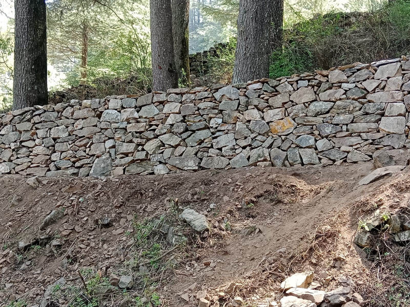  Residential Plot 181 Sq. Yards for Sale in Dhanaulti, Tehri Garhwal